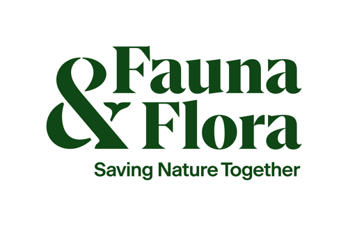 FF Logo Strapline Forest CMYK
